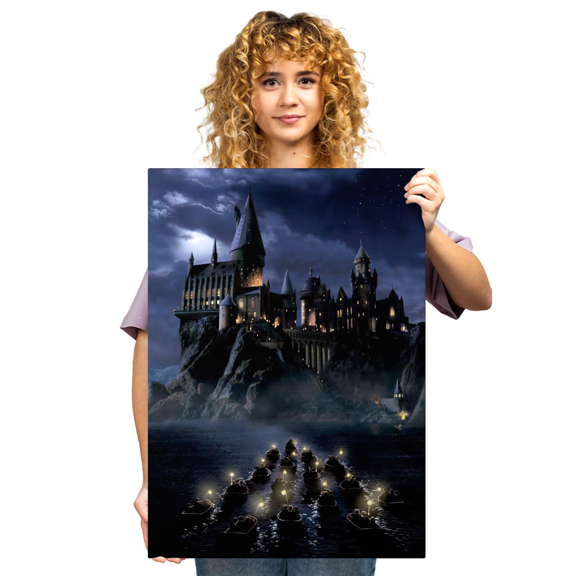 Amazon.com: Displate Metal Poster - Harry Potter - Wizarding